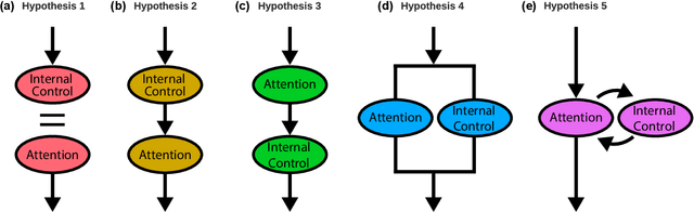 Figure 1 for Attention Schema in Neural Agents
