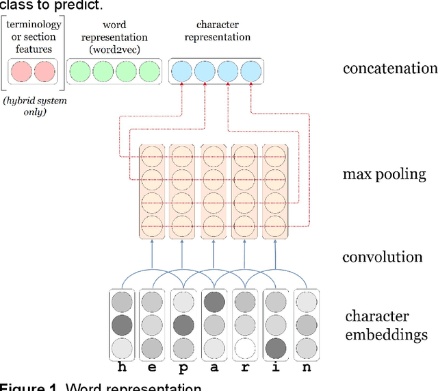 Figure 2 for Terminologies augmented recurrent neural network model for clinical named entity recognition
