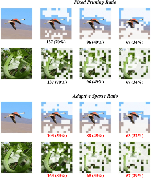 Figure 3 for Adaptive Sparse ViT: Towards Learnable Adaptive Token Pruning by Fully Exploiting Self-Attention