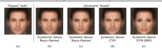 Figure 1 for A Bayes-Optimal View on Adversarial Examples