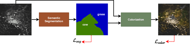 Figure 2 for Semantic-driven Colorization