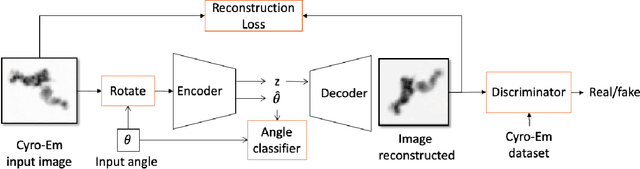 Figure 1 for Learning Rotation Invariant Features for Cryogenic Electron Microscopy Image Reconstruction