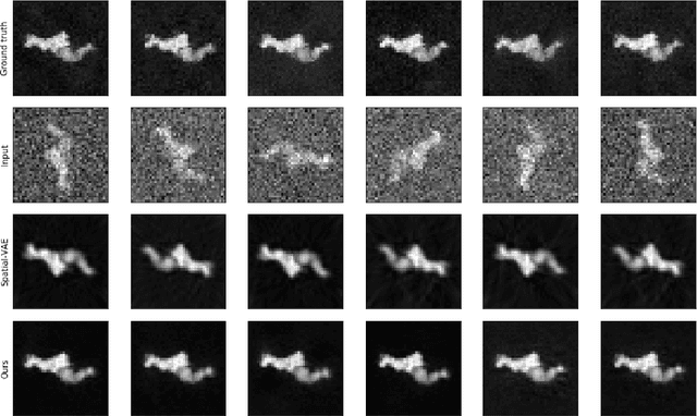 Figure 3 for Learning Rotation Invariant Features for Cryogenic Electron Microscopy Image Reconstruction