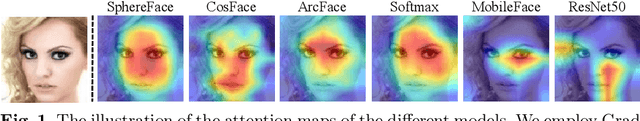 Figure 2 for Delving into the Adversarial Robustness on Face Recognition