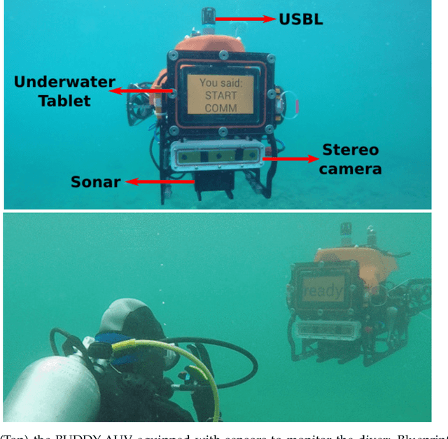 Figure 1 for CADDY Underwater Stereo-Vision Dataset for Human-Robot Interaction (HRI) in the Context of Diver Activities