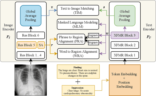 Figure 1 for Improving Joint Learning of Chest X-Ray and Radiology Report by Word Region Alignment