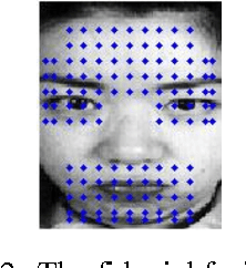 Figure 3 for Multi-view Face Analysis Based on Gabor Features