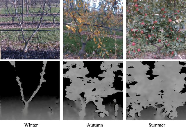 Figure 4 for HOB-CNN: Hallucination of Occluded Branches with a Convolutional Neural Network for 2D Fruit Trees