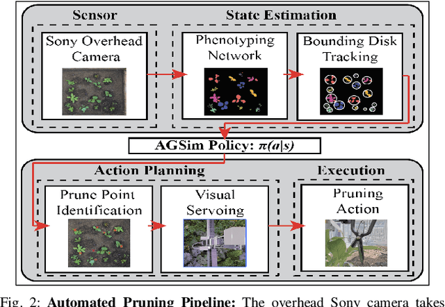 Figure 2 for Automated Pruning of Polyculture Plants