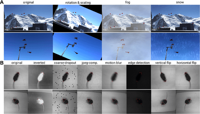 Figure 4 for A Primer on Motion Capture with Deep Learning: Principles, Pitfalls and Perspectives