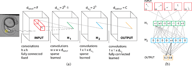 Figure 4 for Mapping Auto-context Decision Forests to Deep ConvNets for Semantic Segmentation