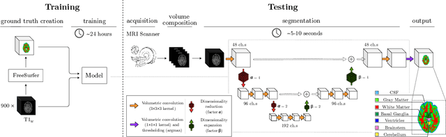 Figure 1 for CEREBRUM: a fast and fully-volumetric Convolutional Encoder-decodeR for weakly-supervised sEgmentation of BRain strUctures from out-of-the-scanner MRI