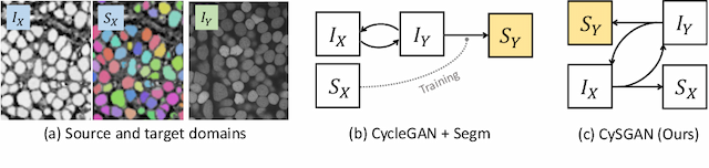 Figure 1 for Instance Segmentation of Unlabeled Modalities via Cyclic Segmentation GAN