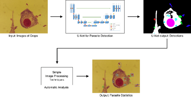Figure 2 for Leishmaniasis Parasite Segmentation and Classification using Deep Learning