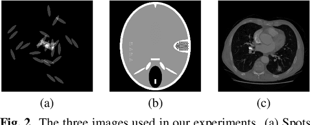 Figure 1 for Gram filtering and sinogram interpolation for pixel-basis in parallel-beam X-ray CT reconstruction