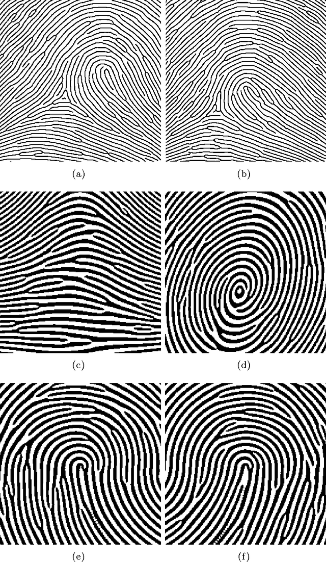 Figure 2 for Separating the Real from the Synthetic: Minutiae Histograms as Fingerprints of Fingerprints