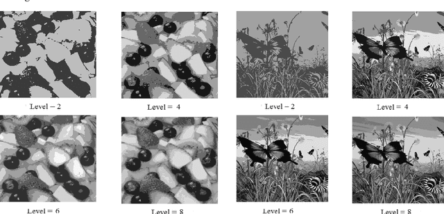 Figure 4 for Multilevel Threshold Based Gray Scale Image Segmentation using Cuckoo Search