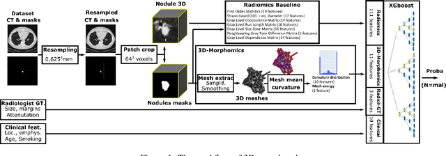 Figure 2 for 3D-Morphomics, Morphological Features on CT scans for lung nodule malignancy diagnosis