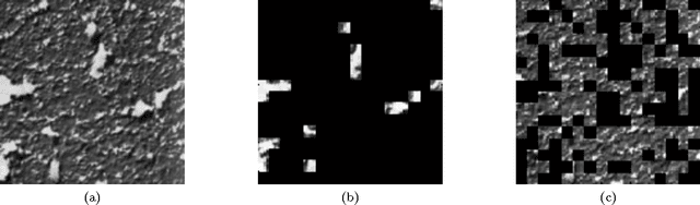 Figure 1 for Heterogeneous patterns enhancing static and dynamic texture classification