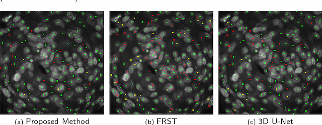Figure 3 for Joint Cell Nuclei Detection and Segmentation in Microscopy Images Using 3D Convolutional Networks