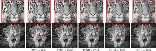 Figure 3 for An Optimal Control Approach to Early Stopping Variational Methods for Image Restoration