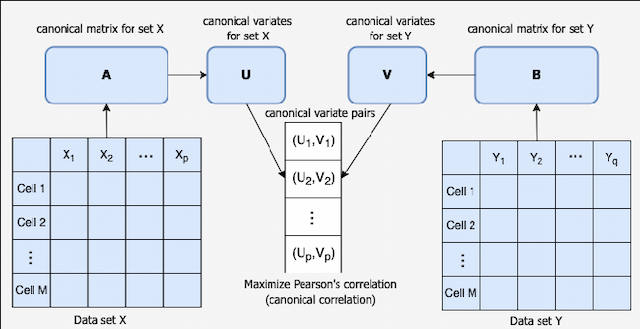 Figure 1 for A canonical correlation-based framework for performance analysis of radio access networks