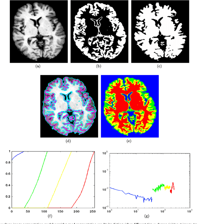 Figure 3 for Brain MRI Segmentation with Fast and Globally Convex Multiphase Active Contours