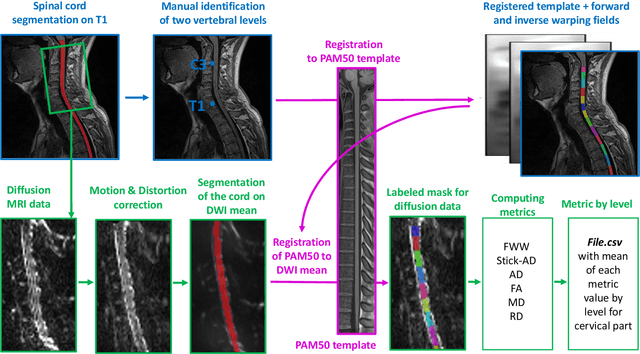 Figure 2 for Effectiveness of regional diffusion MRI measures in distinguishing multiple sclerosis abnormalities within the cervical spinal cord