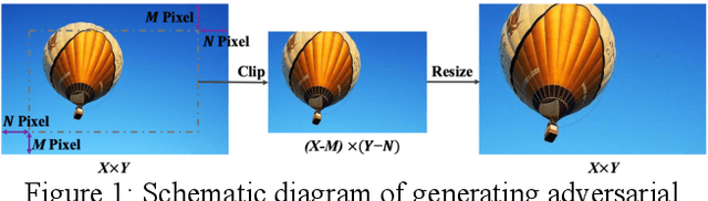 Figure 2 for Impact of Scaled Image on Robustness of Deep Neural Networks