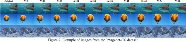 Figure 3 for Impact of Scaled Image on Robustness of Deep Neural Networks