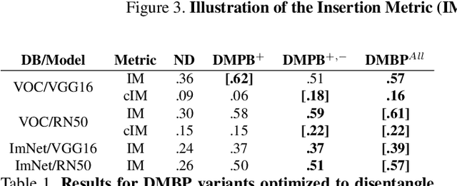Figure 2 for Generating Attribution Maps with Disentangled Masked Backpropagation
