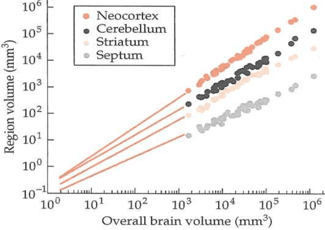 Figure 2 for Toward the quantification of cognition