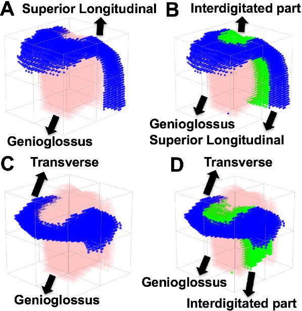 Figure 3 for A Sparse Non-negative Matrix Factorization Framework for Identifying Functional Units of Tongue Behavior from MRI