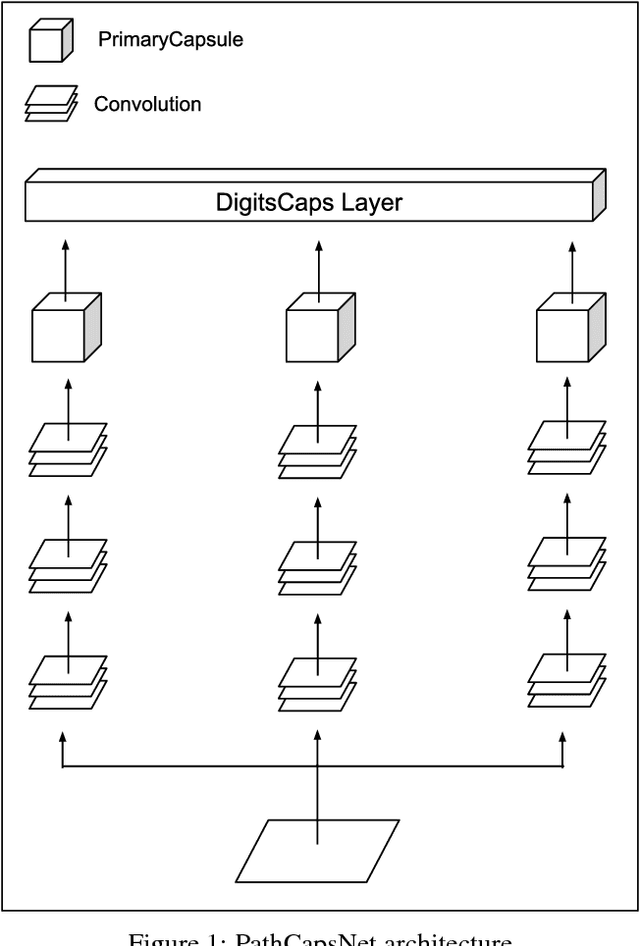 Figure 1 for Path Capsule Networks