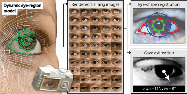 Figure 1 for Rendering of Eyes for Eye-Shape Registration and Gaze Estimation