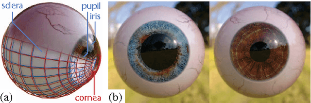 Figure 4 for Rendering of Eyes for Eye-Shape Registration and Gaze Estimation