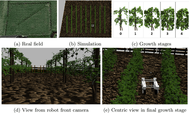 Figure 2 for Benchmark of visual and 3D lidar SLAM systems in simulation environment for vineyards
