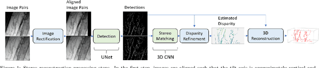 Figure 1 for 3D Reconstruction of Curvilinear Structures with Stereo Matching DeepConvolutional Neural Networks