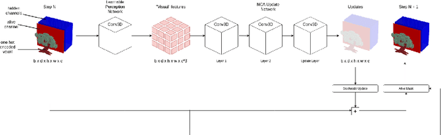 Figure 1 for Growing 3D Artefacts and Functional Machines with Neural Cellular Automata