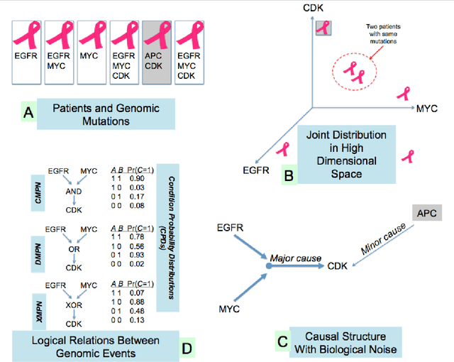 Figure 1 for Inference of Cancer Progression Models with Biological Noise