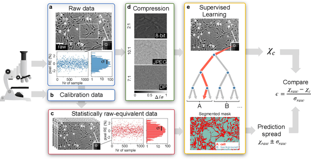 Figure 1 for Quantifying the effect of image compression on supervised learning applications in optical microscopy