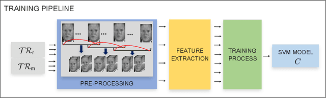 Figure 4 for Dynamic texture analysis for detecting fake faces in video sequences