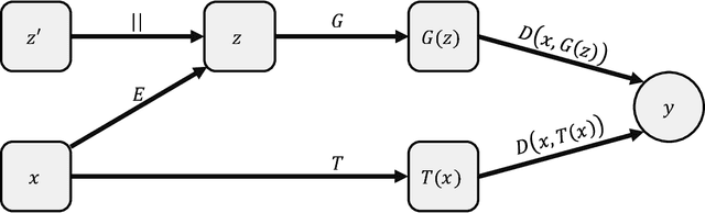 Figure 1 for IVE-GAN: Invariant Encoding Generative Adversarial Networks