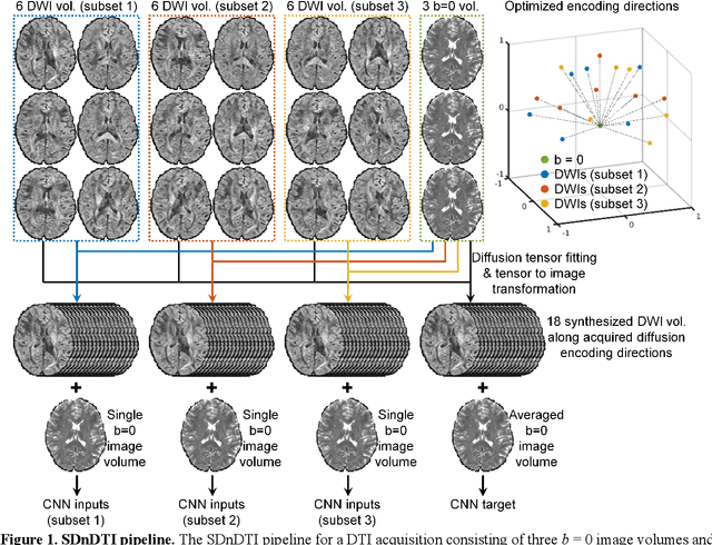 Figure 1 for SDnDTI: Self-supervised deep learning-based denoising for diffusion tensor MRI