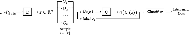 Figure 1 for Intervention Generative Adversarial Networks