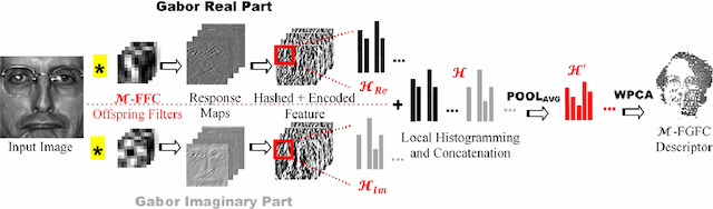 Figure 1 for Multi-Fold Gabor, PCA and ICA Filter Convolution Descriptor for Face Recognition