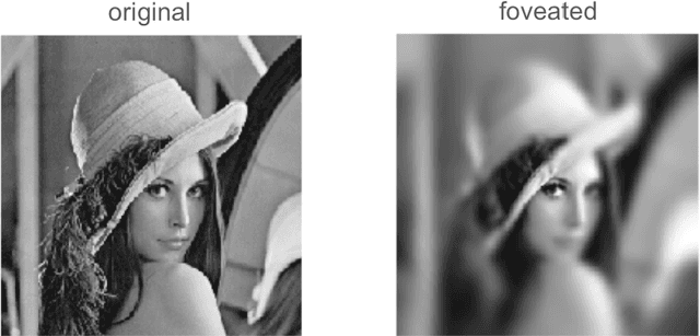Figure 1 for Filling in the details: Perceiving from low fidelity images