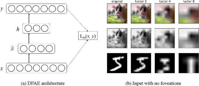 Figure 2 for Filling in the details: Perceiving from low fidelity images