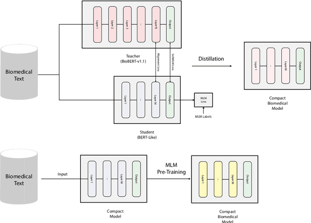 Figure 1 for On the Effectiveness of Compact Biomedical Transformers