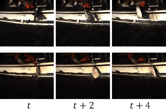 Figure 1 for HCIL: Hierarchical Class Incremental Learning for Longline Fishing Visual Monitoring